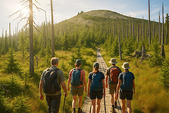 Wandern am Nationalpark Bayerischer Wald